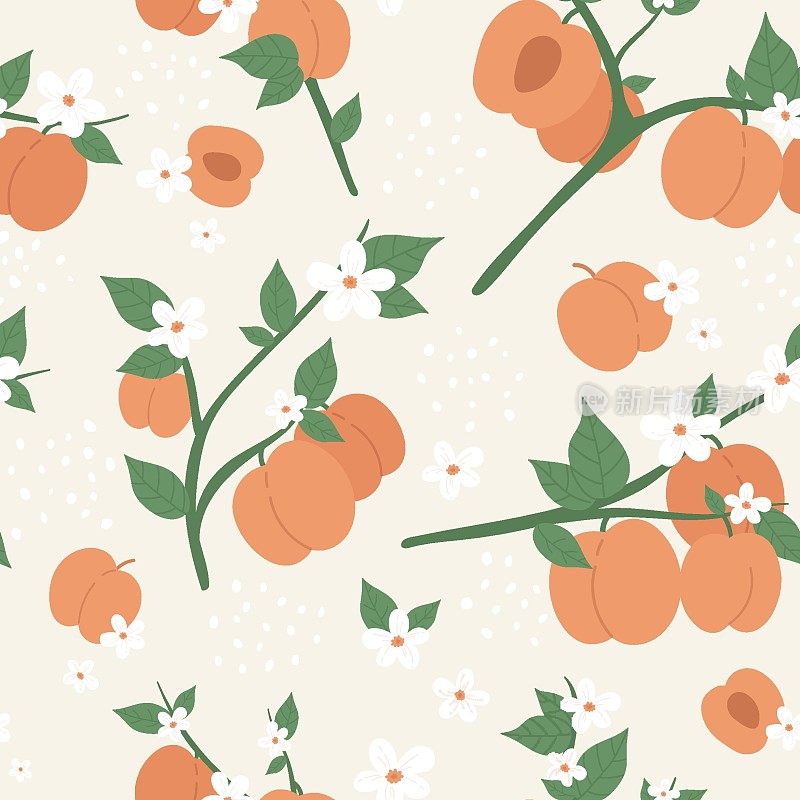 Peach or apricot fruit seamless pattern design set, summer peachy trendy botany texture
